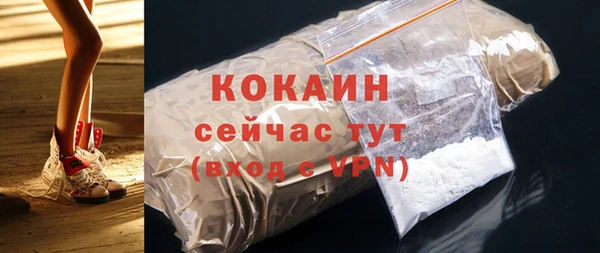 шишки Армянск