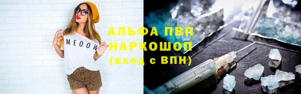 ГАЛЛЮЦИНОГЕННЫЕ ГРИБЫ Аркадак