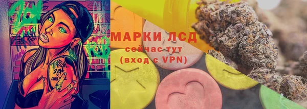 ГАЛЛЮЦИНОГЕННЫЕ ГРИБЫ Аркадак